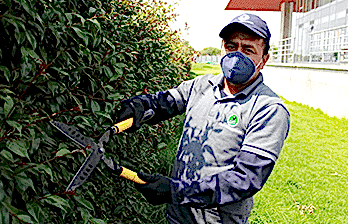 jardineria-servicio-poda-arboles-pasto-2