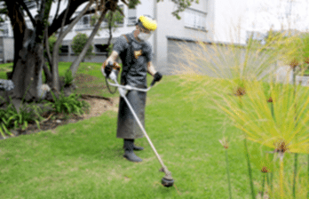 jardineria-servicio-poda-arboles-pasto